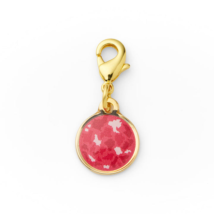 47palette メタルチャーム(2種)/45宮崎県