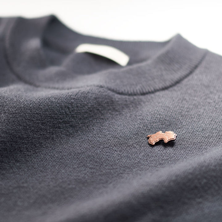 日本列島ピンバッジ/四国 アンティークコパ―