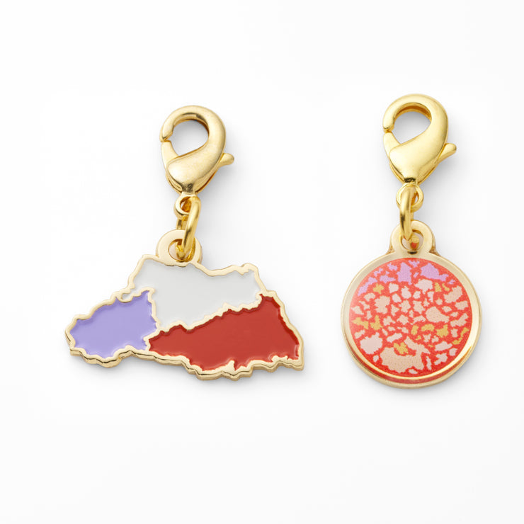 埼玉県｜Map Design GALLERYオンラインストア｜ゼンリン