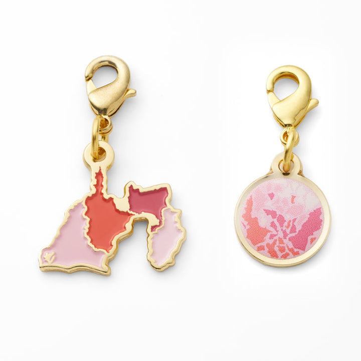 47palette メタルチャーム(2種)/22静岡県