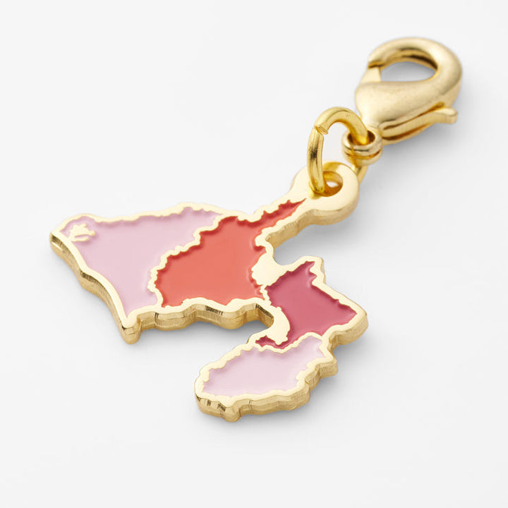 47palette メタルチャーム(2種)/22静岡県