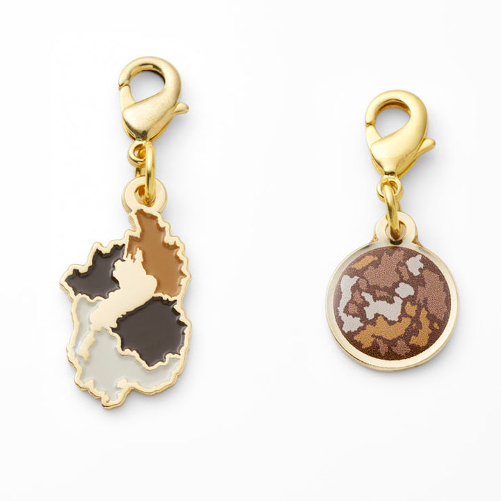 47palette メタルチャーム(2種)/25滋賀県