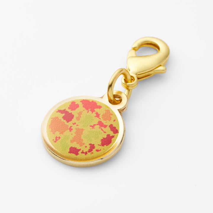 47palette メタルチャーム(2種)/34広島県