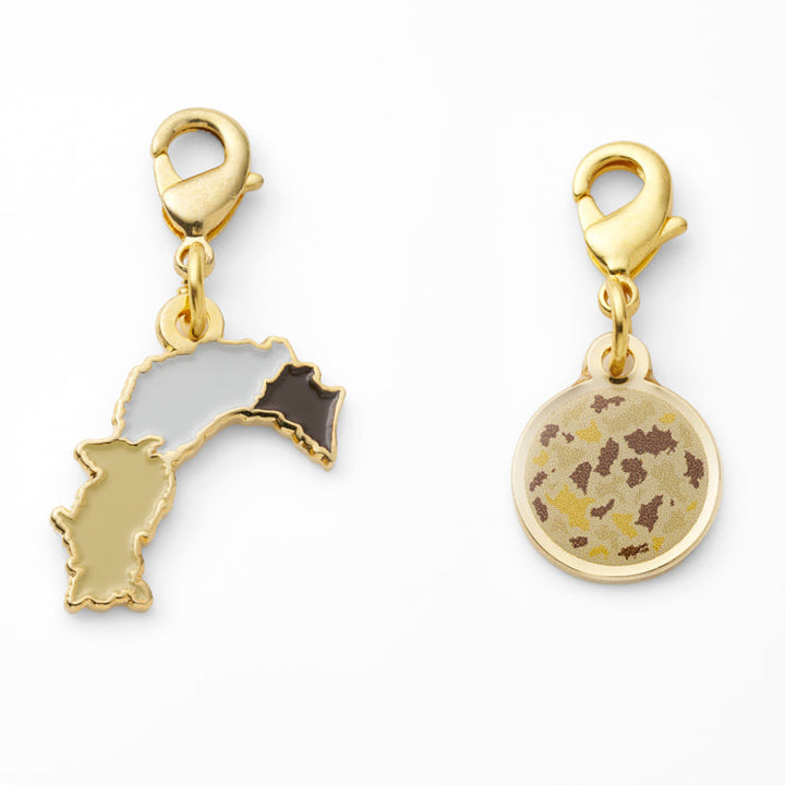 47palette メタルチャーム(2種)/39高知県