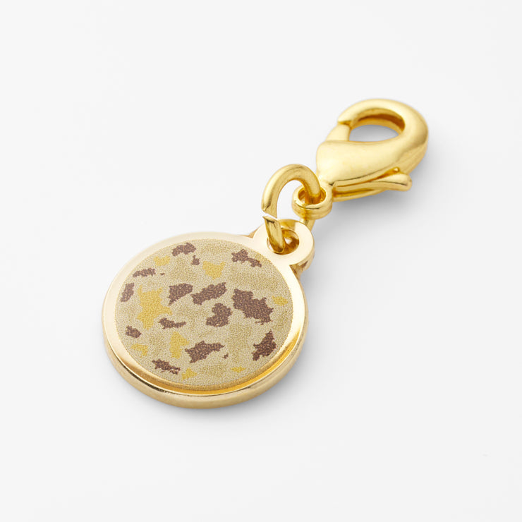 47palette メタルチャーム(2種)/39高知県