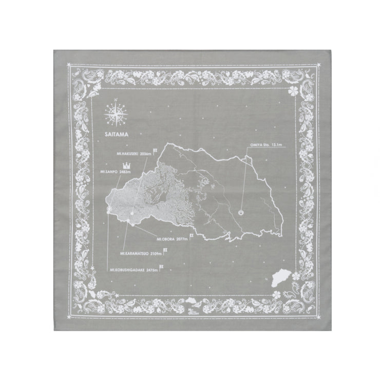 埼玉県｜Map Design GALLERYオンラインストア｜ゼンリン