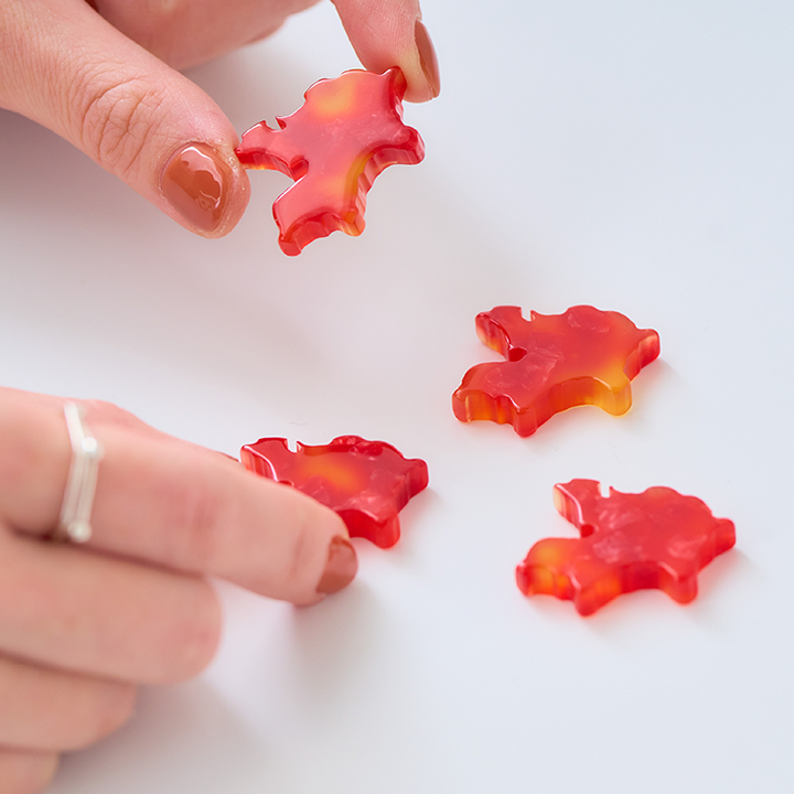 都道府県ブローチセット/23 愛知県