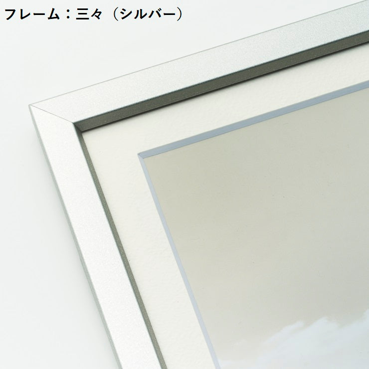 俯瞰図額絵/東京   フルカラー　大判/三々/キャビネサイズ